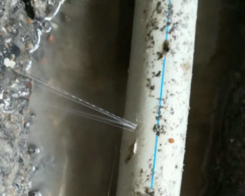 阿尔山卫生间测漏水多少钱