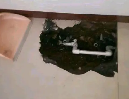 阿尔山卫生间测漏水多少钱